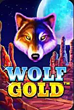 Wolf Gold — zagraj w Mostbet
